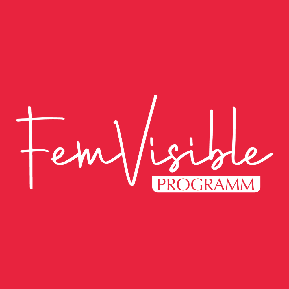 FemVisible_Programm